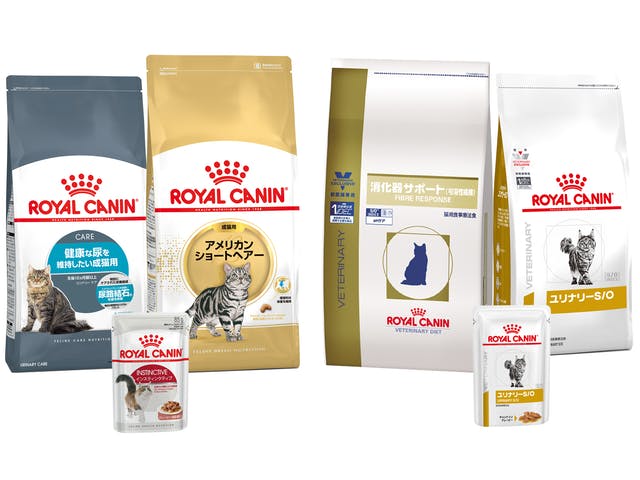 ロイヤルカナン猫